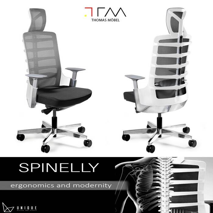 spinelly ergonomic chair